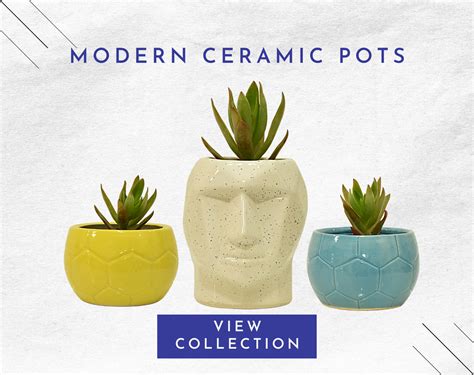 Buy Unique Ceramic Pots & Planters Online [Shipping Pan India] – Home ...