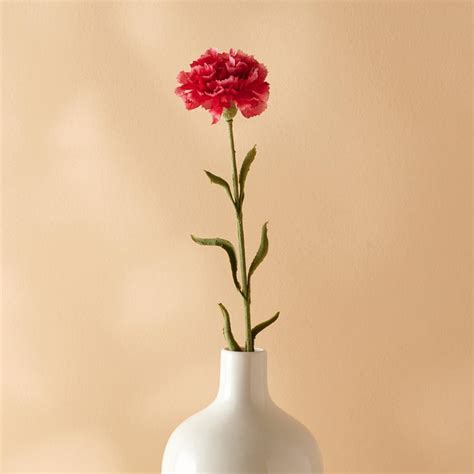 Buy Botanical Artificial Single Carnation Flower Stick - 61cm from Home ...