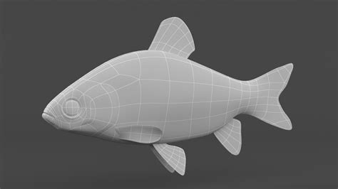 Fish Swim Model 的图像结果