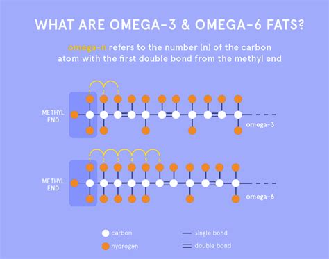 Fatty Acid – Keya Seth Aromatherapy