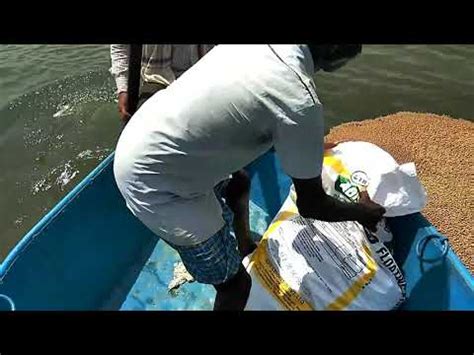 Pratistha Life Care - Manufacturer of Organic Farming And Home Garden ...