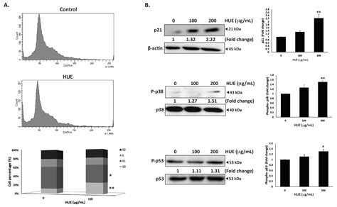 The Antioxidant Potential and Anticancer Activity of Halodule uninervis ...