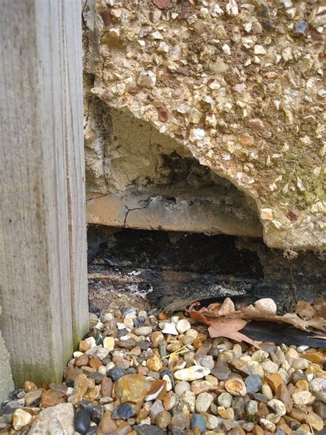 Image result for Damp Course Repair