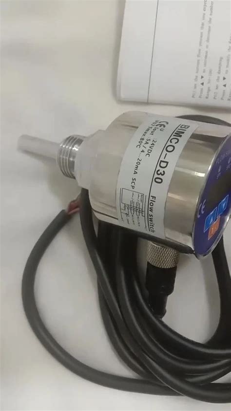 Flow Switch India - Paddle Flow Switch Manufacturer from Mumbai