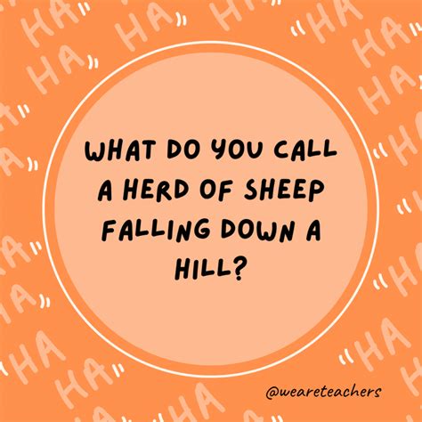 300 Cheesy Dad Jokes Everyone Will Love | Funny corny jokes, Really ...