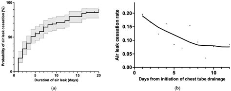 Chest Drain Air Leak