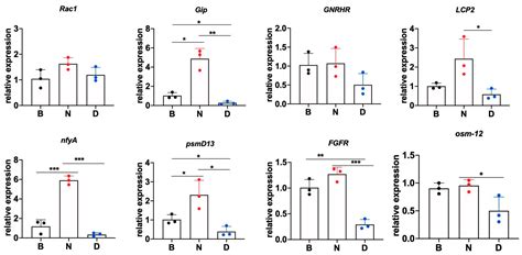 Citrobacter freundii Caused Head Ulcer Disease and Immune Response in ...