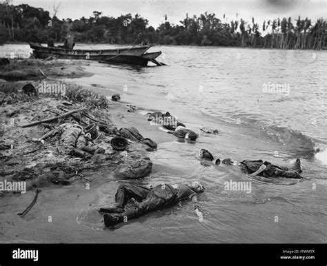 WORLD WAR II: NEW GUINEA. /nThe bodies of Japanese soldiers and their ...
