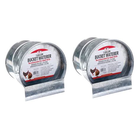 Buy Little Giant 1-Gallon Galvanized Steel Poultry Bucket Waterer w ...
