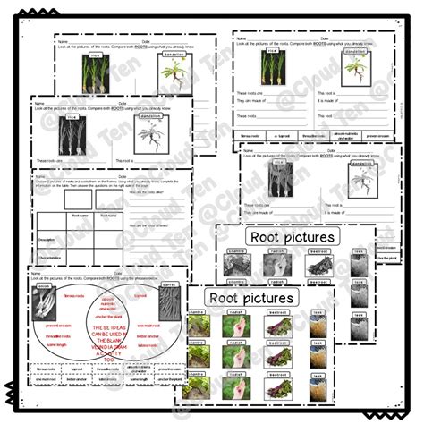 First Grade Science 的图像结果