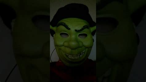 ASMR Gibi Shrek 的图像结果