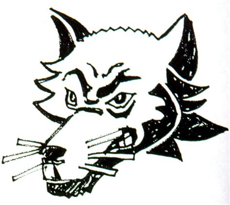 Image result for Chicago Wolves Logo