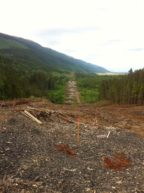 Northwest Transmission Line - BC Hydro | Timber Baron | Forestry ...