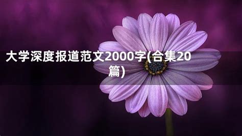 大学深度报道范文2000字(合集20篇)