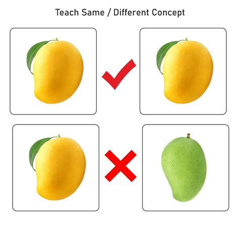Develop Visual Perception in Children with Picture Matching Cards