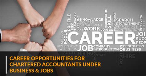 Career Opportunities For CA Under Business & Job | CA Portal
