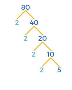 Express 80 as the product of its prime factors. Write the prime factors ...