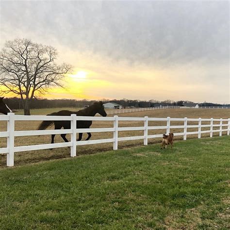 ROCK SPRINGS RETREAT CENTER (Castalian Springs) - Specialty Resort ...