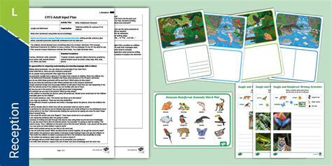 EYFS Write a Rainforest Postcard Adult Input Planning Pack