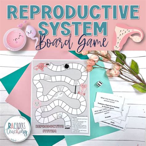 Image result for Male Reproductive System Interactive Game