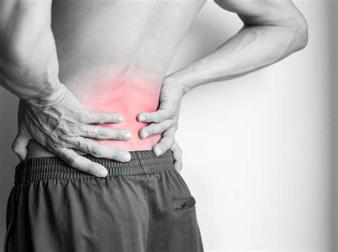 Image result for Lower Back Muscle Pain