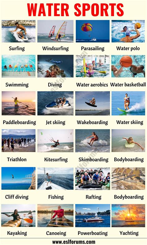 Water Sports | List of 30+ Incredibly Awesome Water Sports You Must Try! - ESL Forums | Water ...