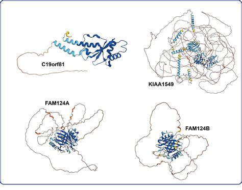 Image result for Protein Structure Modelling