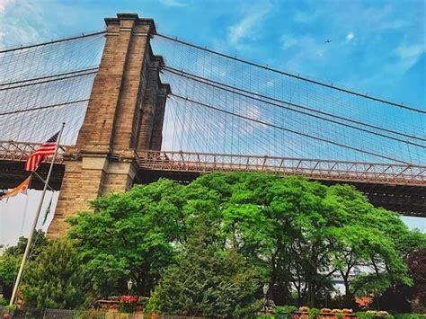 Image result for Practically Neighbors