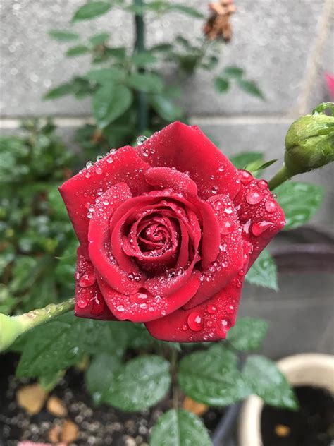 Intuitive Tarot Card Readings, Riverside Treasures & Enchantments ...