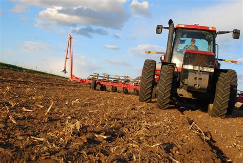 Image result for Corn Planting
