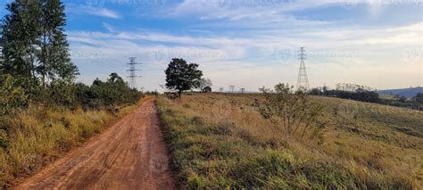 rural nature landscape in the interior of Brazil in a eucalyptus farm ...