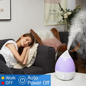 BEAUTURAL Cool Mist Humidifier, Ultrasonic Humidifiers, End for Dry Air ...