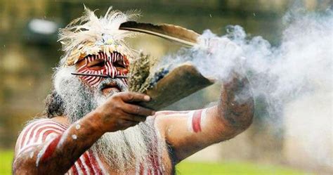 Unveiling the Wisdom of the Penobscot Tribe’s Traditional Healer: Ancient Secrets Revealed