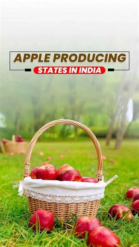 Top 5 Apple Producing States in India