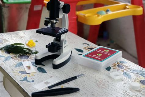 Image result for Microscope Experiments for Kids