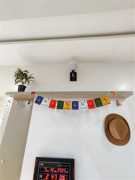 PSM 151-Cap Heavy Duty Adhesive Decorative Acrylic Sticky Key Holder ...