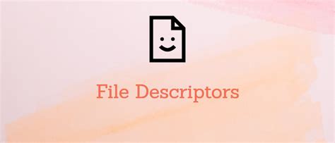 File Descriptor Linux 的图像结果