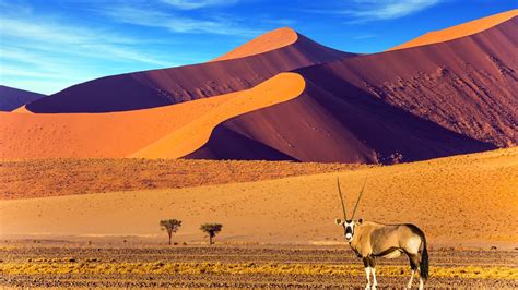 The Most Stunning Snapshots Of Namibia: Deserts, Culture And Beyond