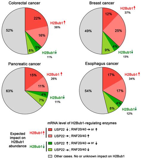 Ubiquitin Specific Peptidase 22 Regulates Histone H2B Mono ...