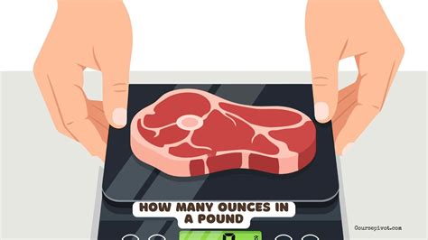 How Many Ounces In A Pound