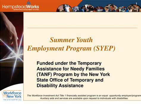 Image result for SYEP Program