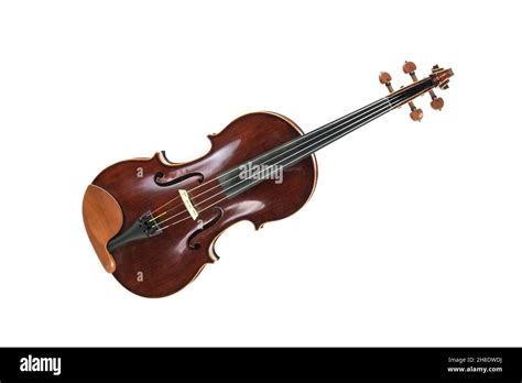 Image result for Viola String Instrument