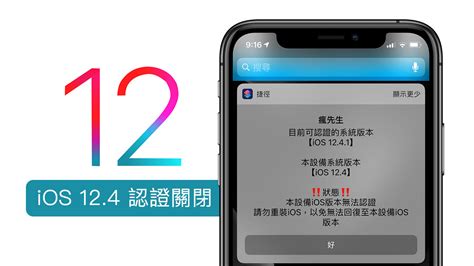 iOS 12.4.9 的图像结果