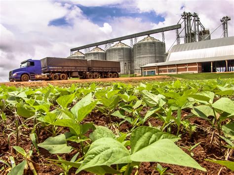 Commercial Agriculture: Regulations, Infrastructure, & More