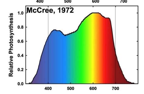 Выбор освещения Ч.3 — Teletype