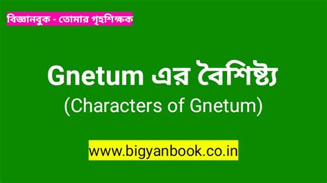 Gnetum এর বৈশিষ্ট্য | Characters of Gnetum