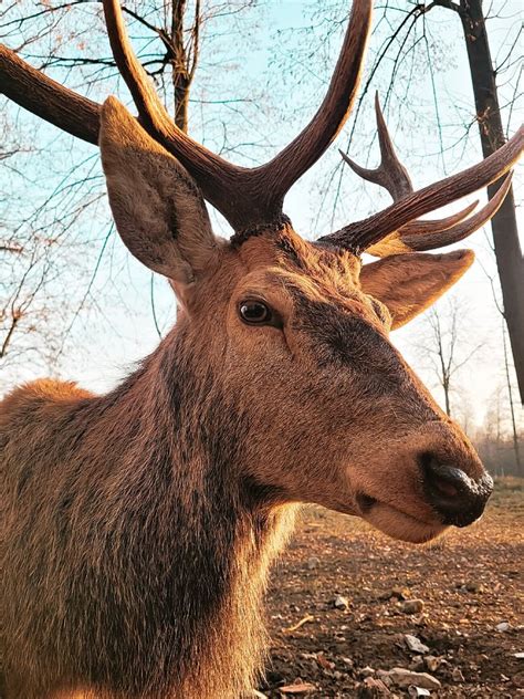 PRENOCISTE BOSNA (Zivinice Grad) - Specialty Inn Reviews & Photos ...