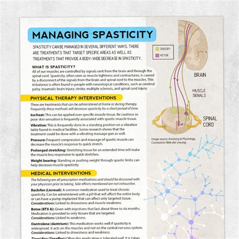 Image result for Spasticity Explained