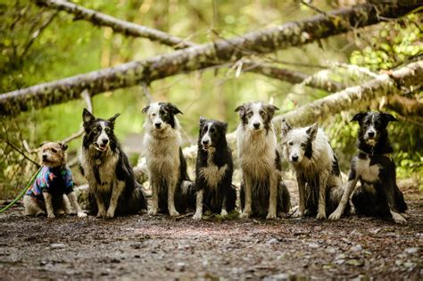 Image result for Finger Mask Pattern