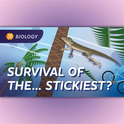 Image result for Crash Course Cell Structure